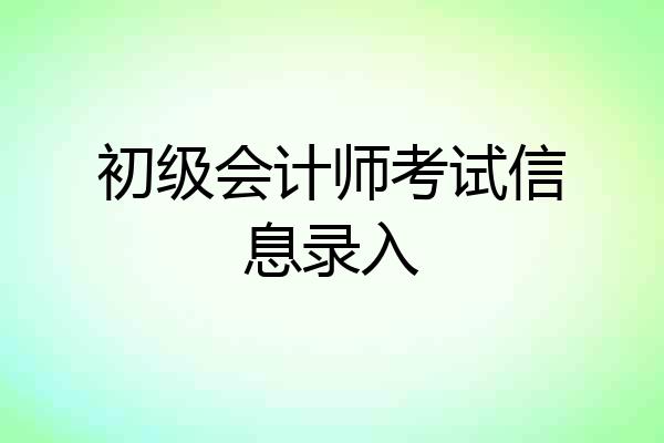 初级会计师考试信息录入
