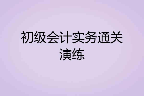 初级会计实务通关演练