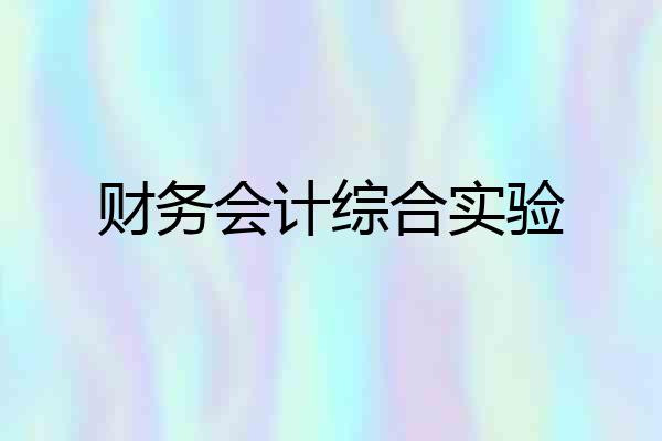 财务会计综合实验