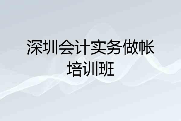 深圳会计实务做帐培训班