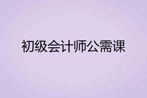 初级会计师公需课