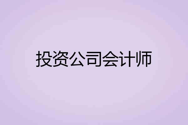 投资公司会计师
