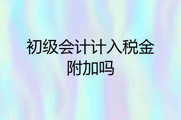 初级会计计入税金附加吗