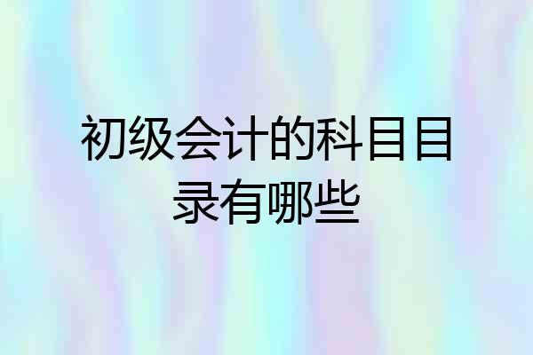 初级会计的科目目录有哪些