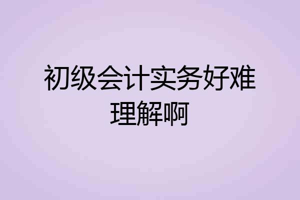 初级会计实务好难理解啊