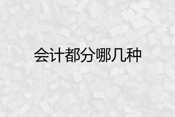 会计都分哪几种