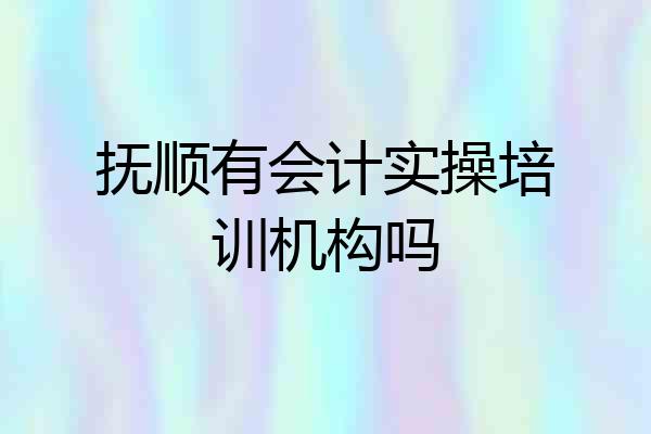 抚顺有会计实操培训机构吗