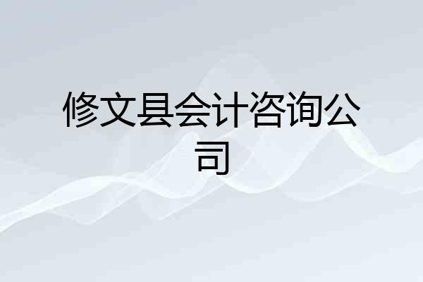 修文县会计咨询公司