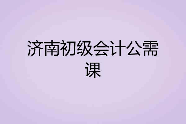 济南初级会计公需课