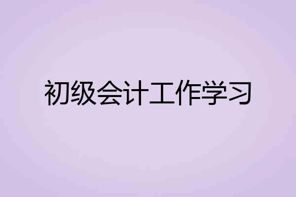初级会计工作学习