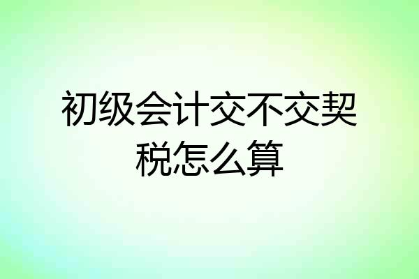 初级会计交不交契税怎么算