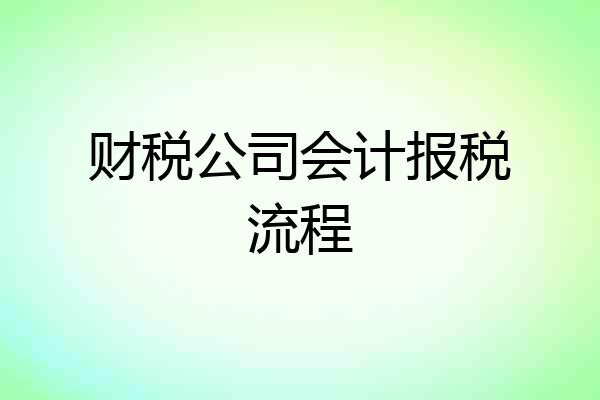 财税公司会计报税流程