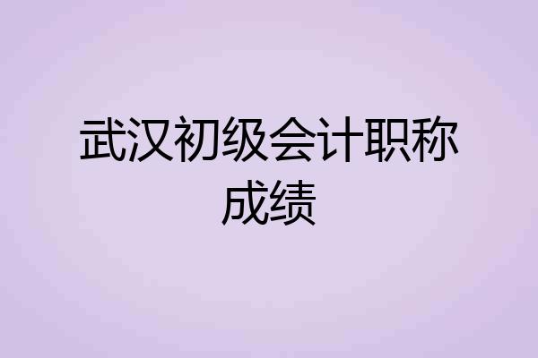 武汉初级会计职称成绩