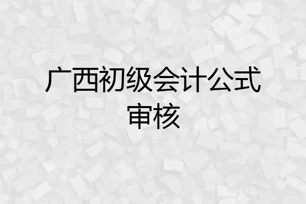 广西初级会计公式审核