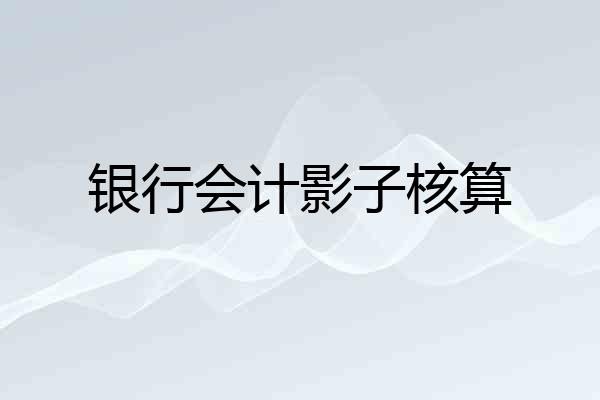银行会计影子核算