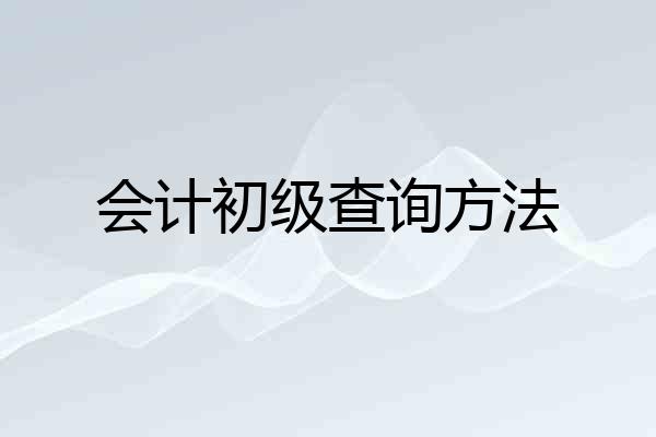 会计初级查询方法