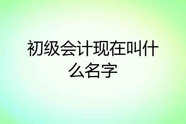 初级会计现在叫什么名字