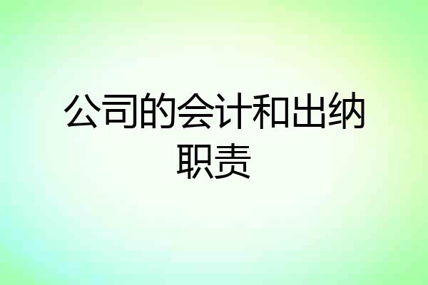 公司的会计和出纳职责