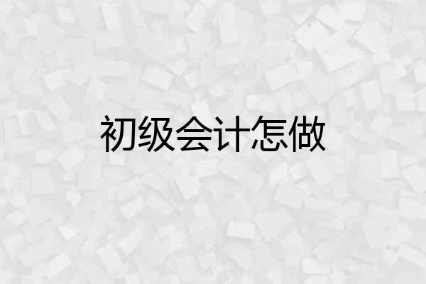 初级会计怎做
