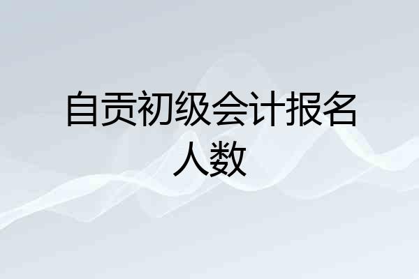自贡初级会计报名人数