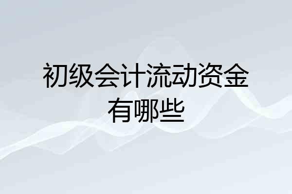 初级会计流动资金有哪些