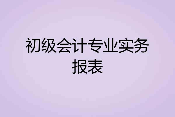 初级会计专业实务报表