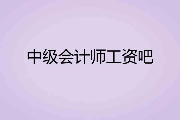 中级会计师工资吧