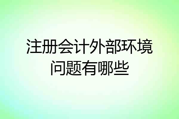 注册会计外部环境问题有哪些