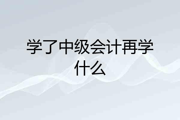 学了中级会计再学什么