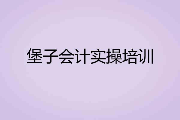 堡子会计实操培训