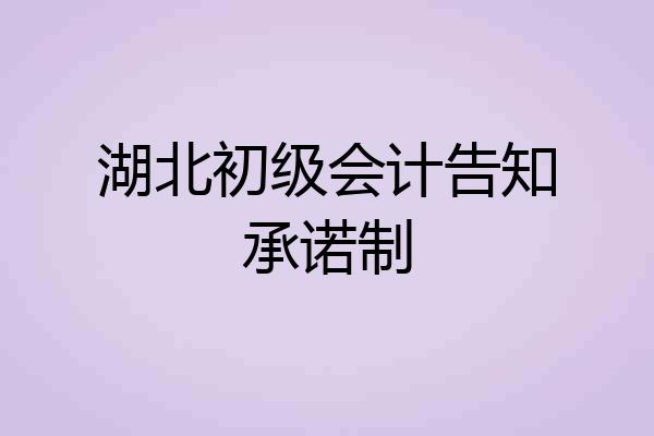湖北初级会计告知承诺制