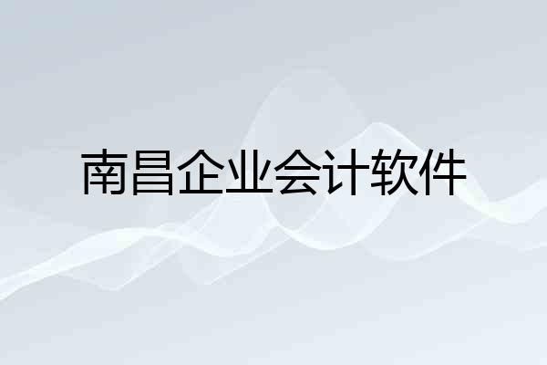 南昌企业会计软件