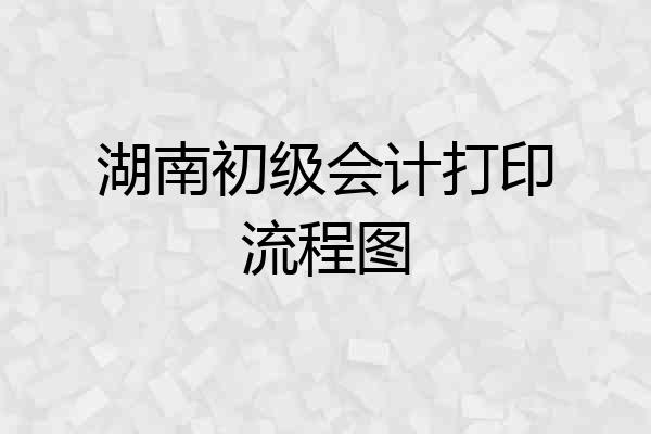 湖南初级会计打印流程图