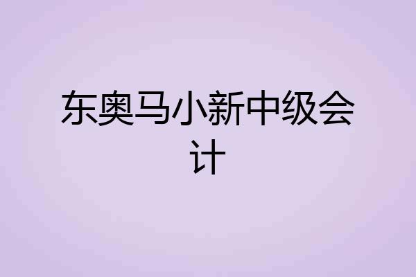 东奥马小新中级会计
