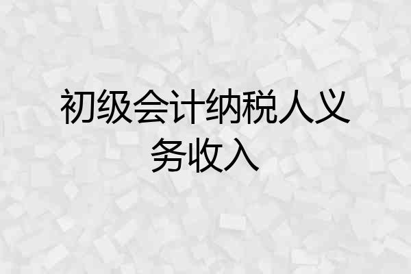 初级会计纳税人义务收入