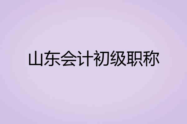 山东会计初级职称