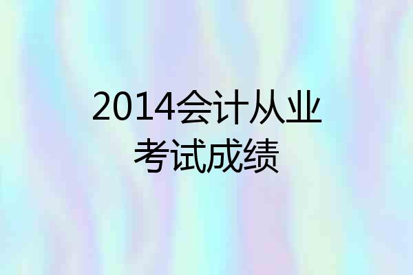 2014会计从业考试成绩