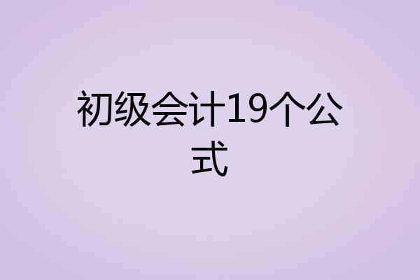 初级会计19个公式