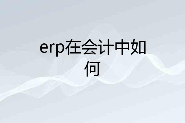 erp在会计中如何
