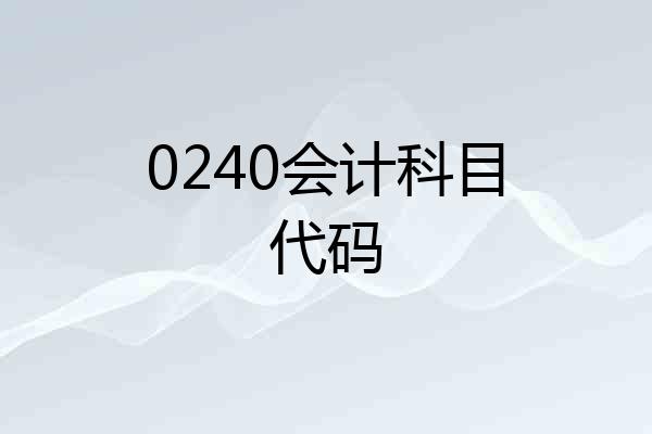 0240会计科目代码