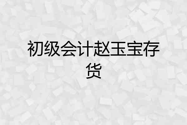 初级会计赵玉宝存货