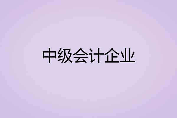 中级会计企业