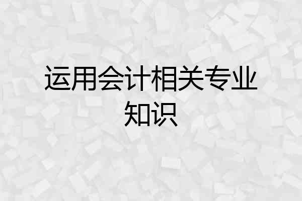 运用会计相关专业知识