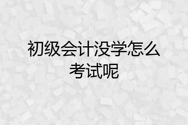 初级会计没学怎么考试呢