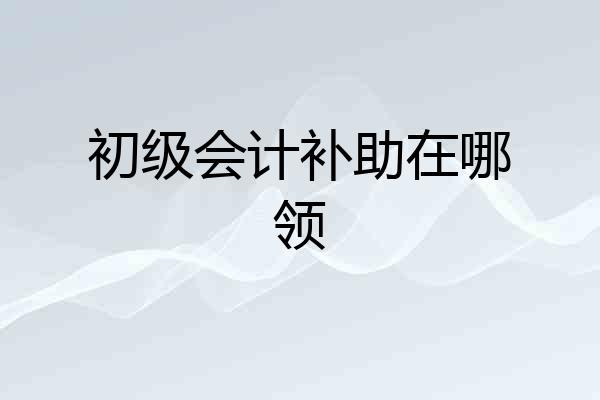 初级会计补助在哪领
