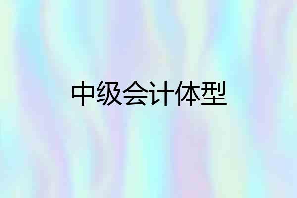 中级会计体型