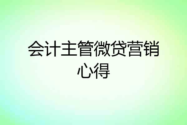 会计主管微贷营销心得