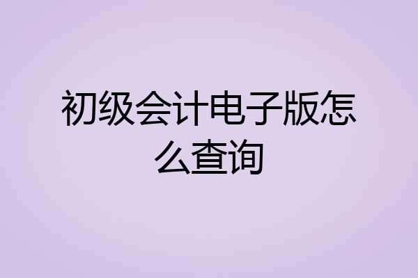 初级会计电子版怎么查询