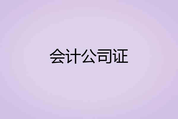 会计公司证