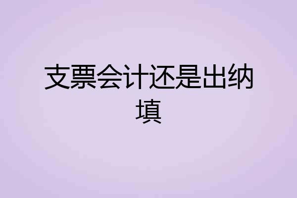 支票会计还是出纳填